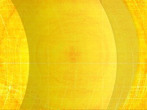收益分析